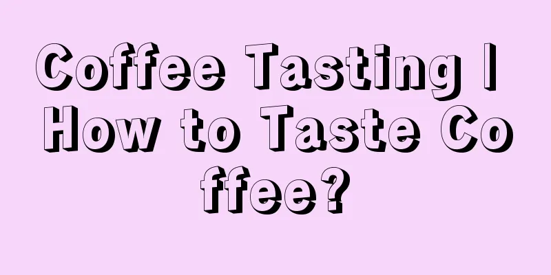 Coffee Tasting | How to Taste Coffee?