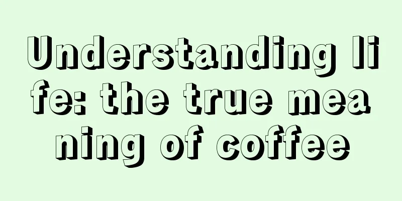 Understanding life: the true meaning of coffee