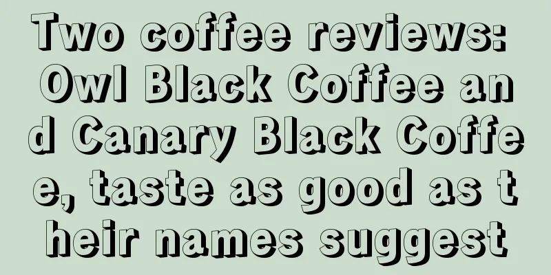 Two coffee reviews: Owl Black Coffee and Canary Black Coffee, taste as good as their names suggest