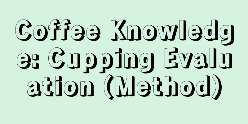 Coffee Knowledge: Cupping Evaluation (Method)