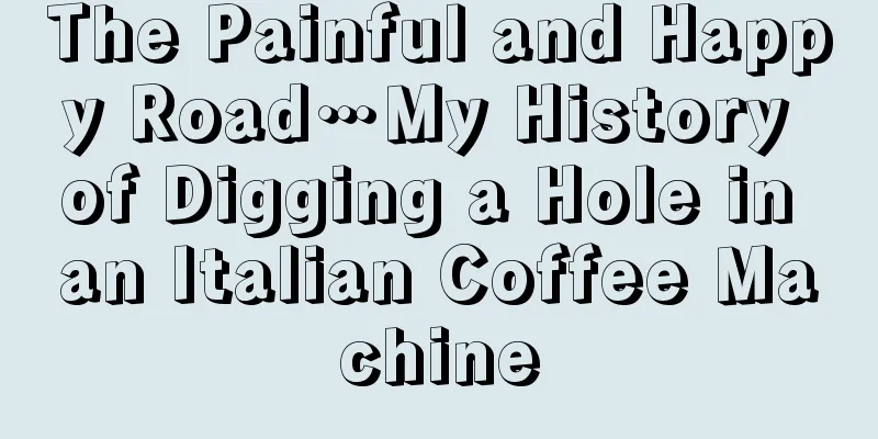 The Painful and Happy Road…My History of Digging a Hole in an Italian Coffee Machine