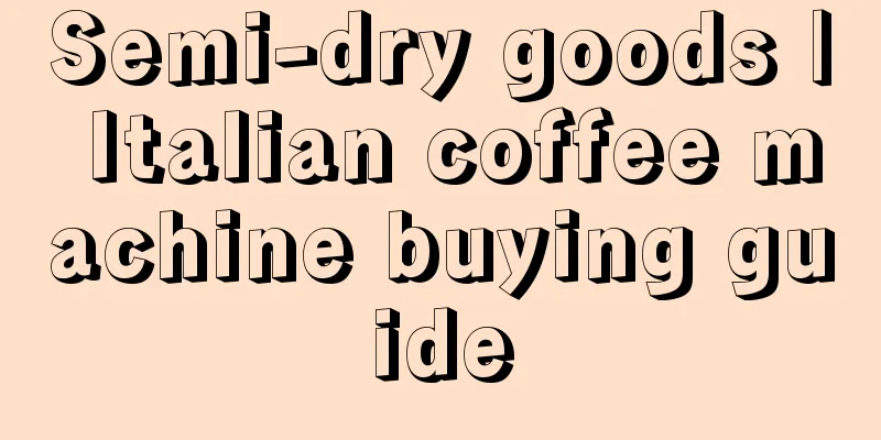 Semi-dry goods | Italian coffee machine buying guide