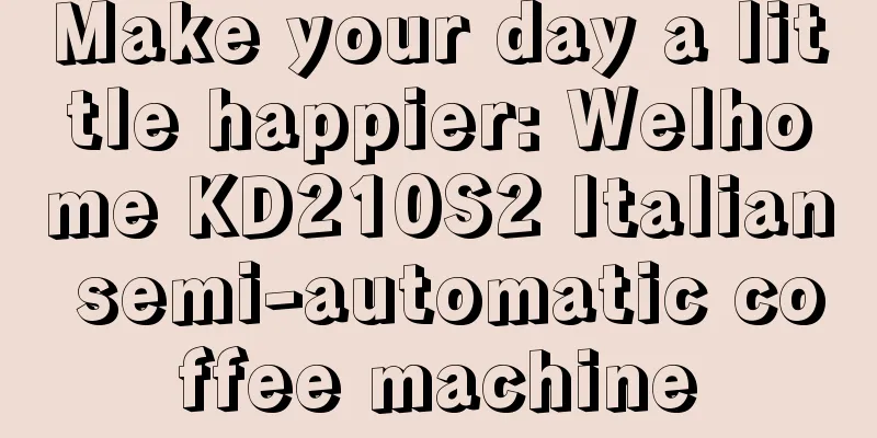 Make your day a little happier: Welhome KD210S2 Italian semi-automatic coffee machine