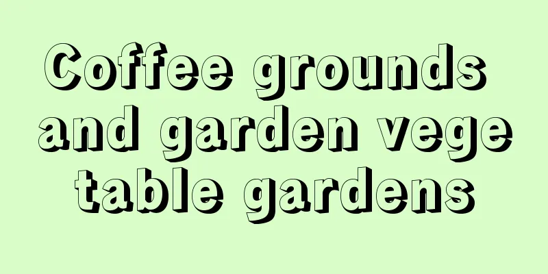 Coffee grounds and garden vegetable gardens