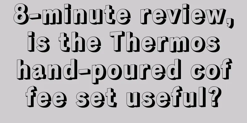 8-minute review, is the Thermos hand-poured coffee set useful?