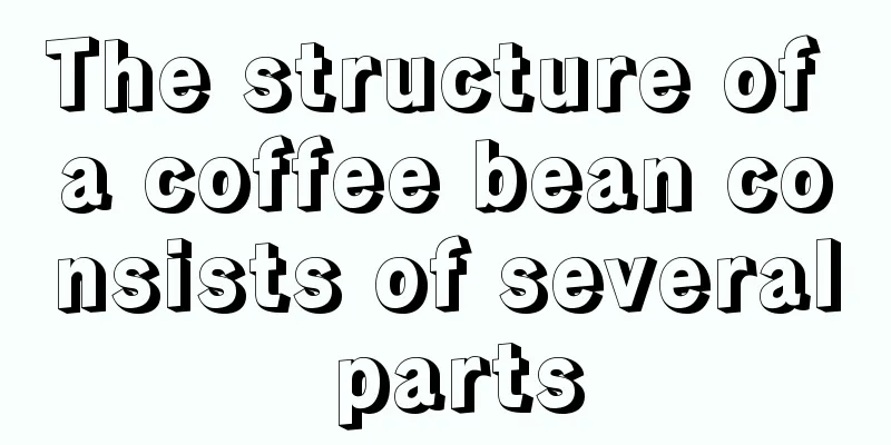 The structure of a coffee bean consists of several parts