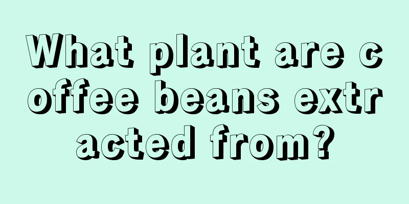 What plant are coffee beans extracted from?