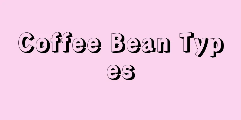 Coffee Bean Types