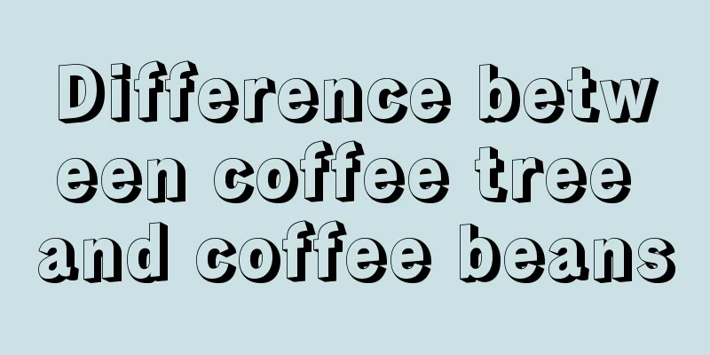 Difference between coffee tree and coffee beans