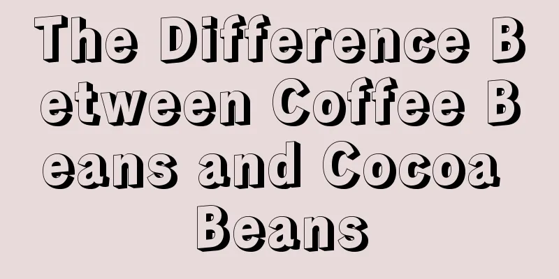 The Difference Between Coffee Beans and Cocoa Beans