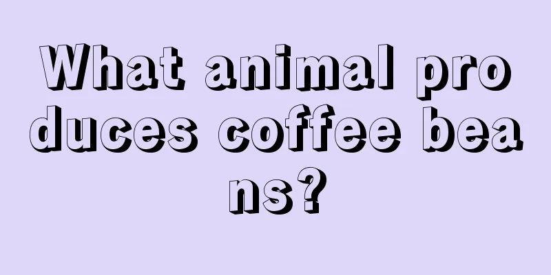 What animal produces coffee beans?