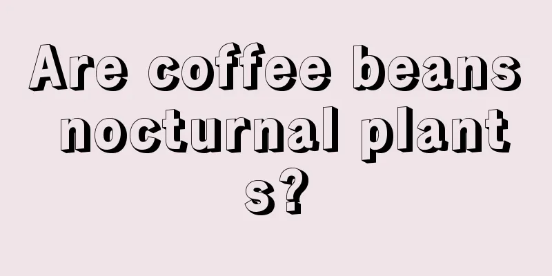 Are coffee beans nocturnal plants?