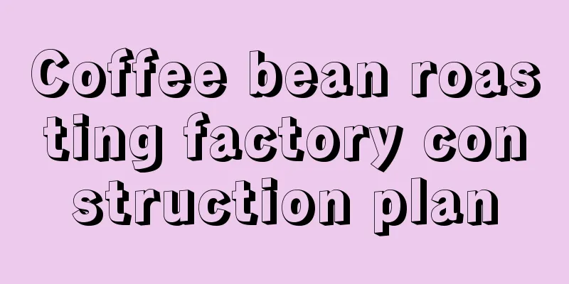 Coffee bean roasting factory construction plan