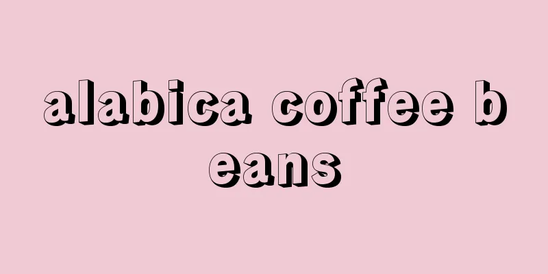 alabica coffee beans