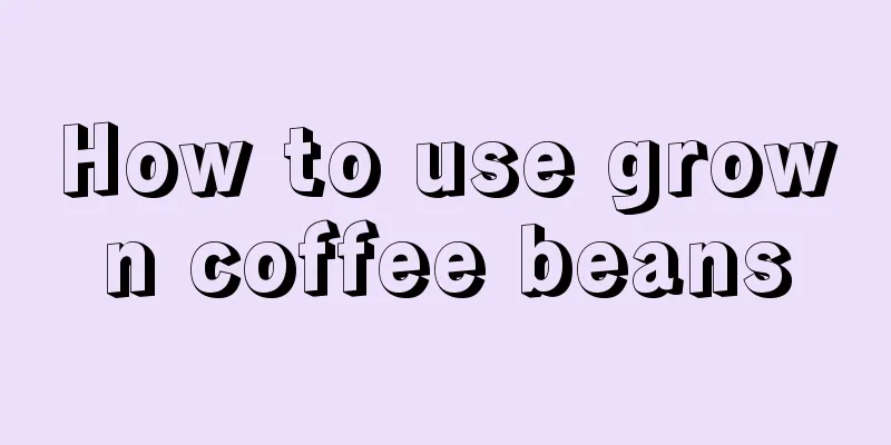 How to use grown coffee beans