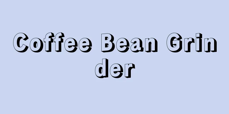 Coffee Bean Grinder