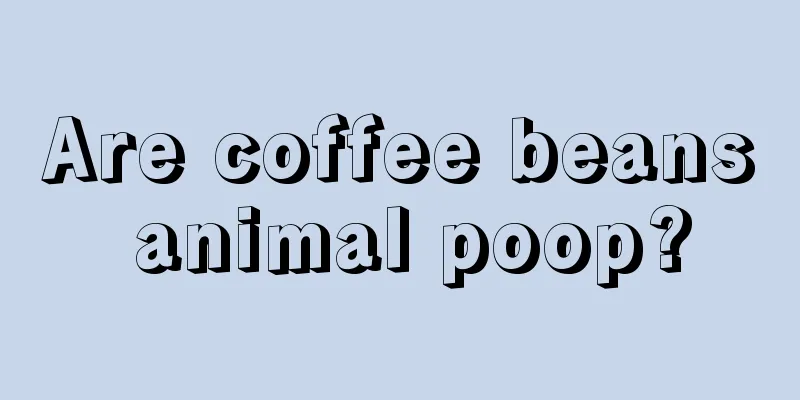 Are coffee beans animal poop?