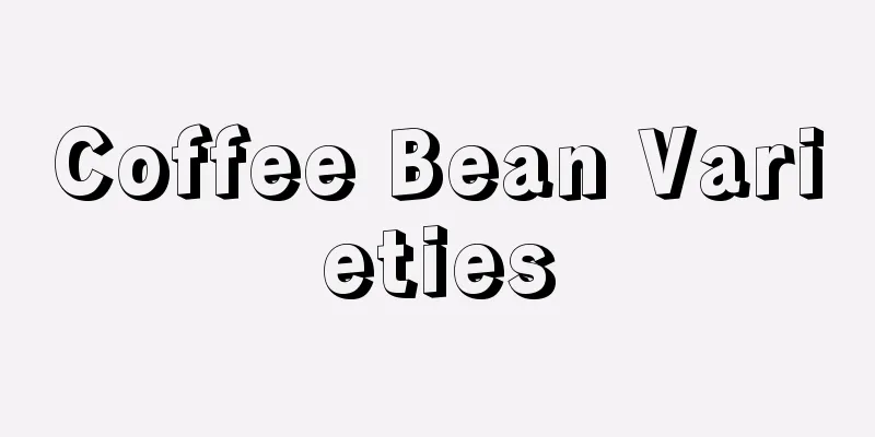 Coffee Bean Varieties