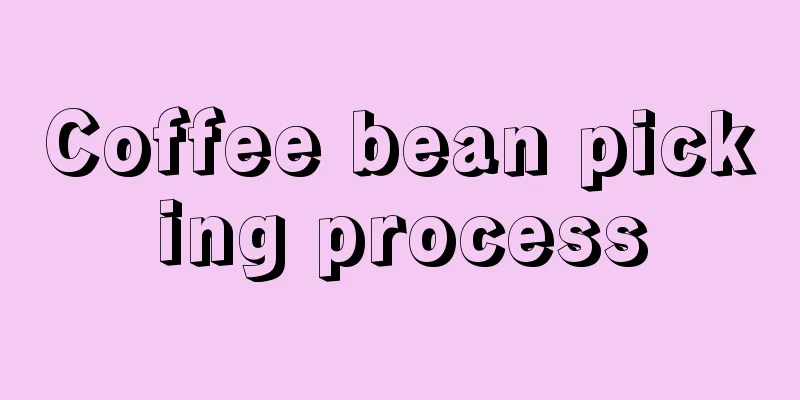 Coffee bean picking process