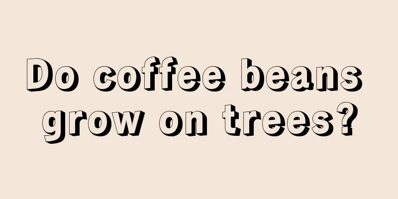 Do coffee beans grow on trees?