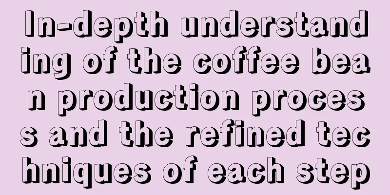 In-depth understanding of the coffee bean production process and the refined techniques of each step