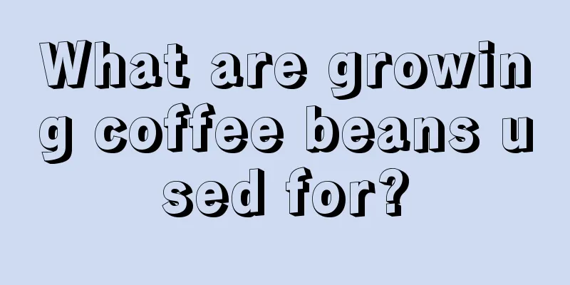 What are growing coffee beans used for?