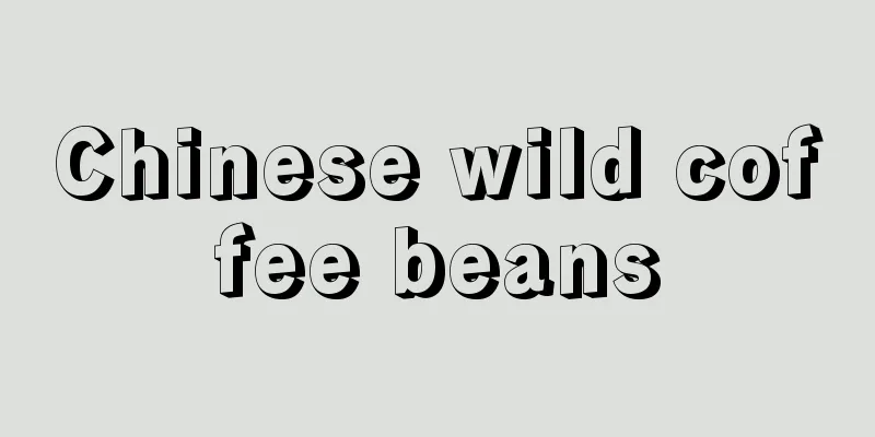 Chinese wild coffee beans