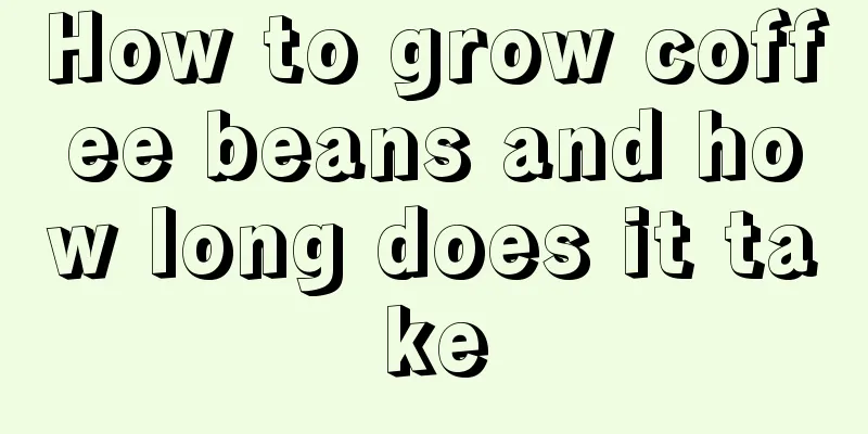 How to grow coffee beans and how long does it take