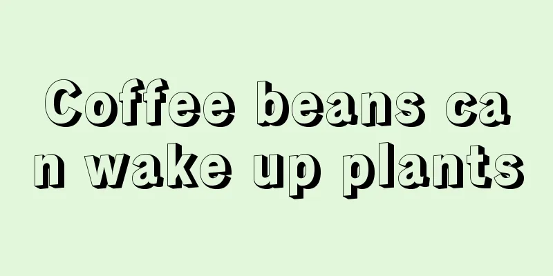 Coffee beans can wake up plants