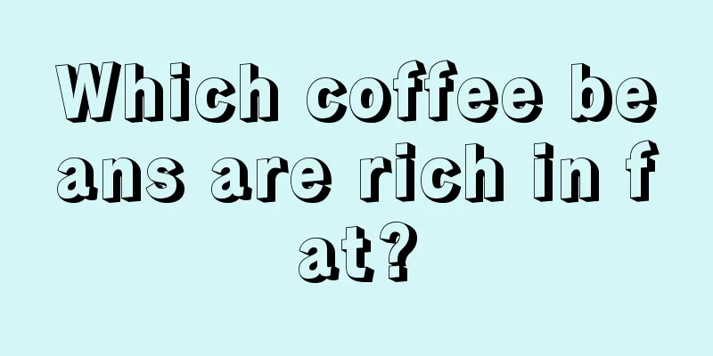 Which coffee beans are rich in fat?