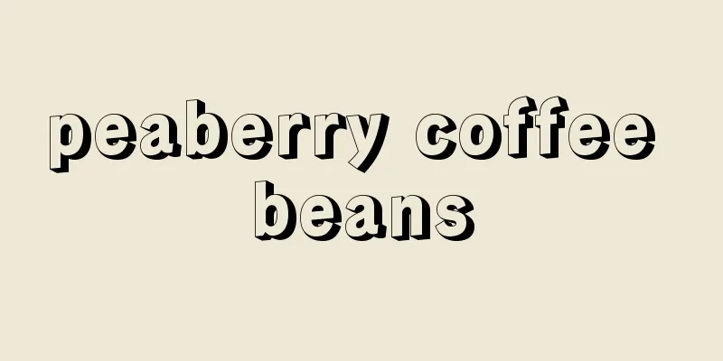 peaberry coffee beans