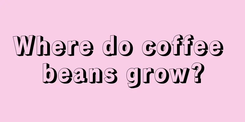 Where do coffee beans grow?