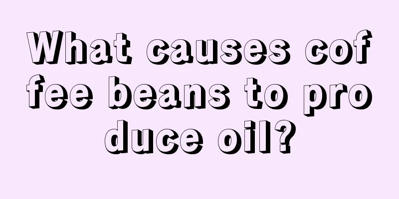 What causes coffee beans to produce oil?