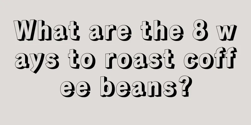 What are the 8 ways to roast coffee beans?