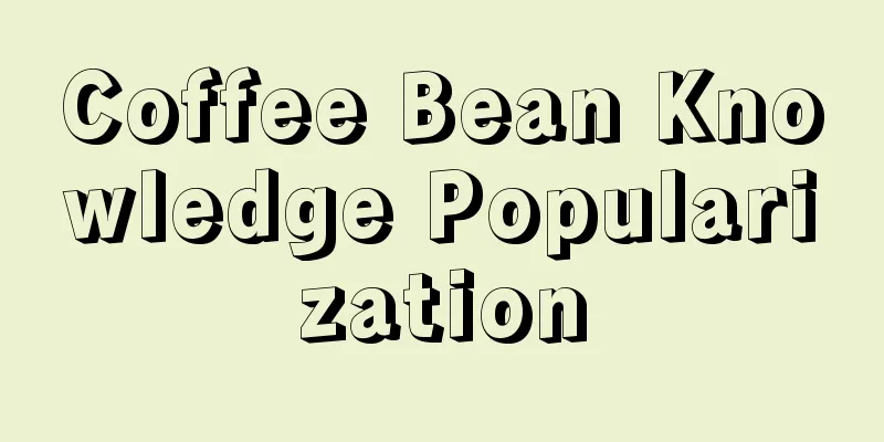 Coffee Bean Knowledge Popularization