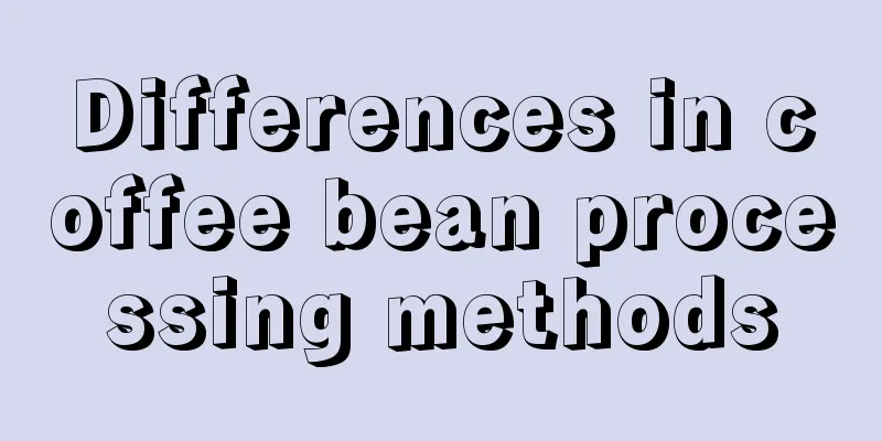 Differences in coffee bean processing methods