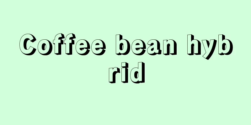 Coffee bean hybrid