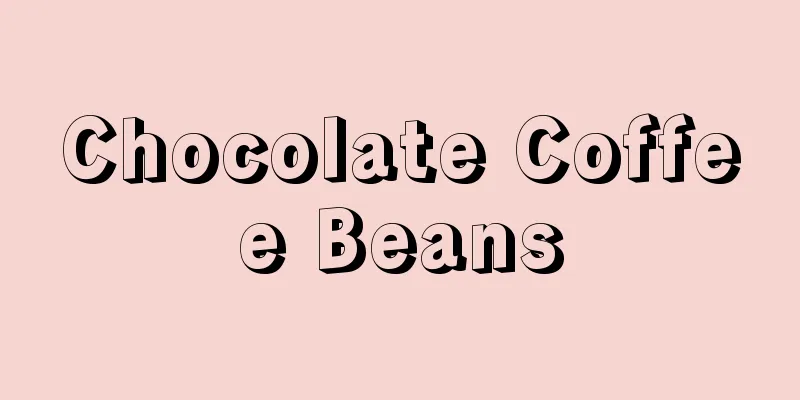 Chocolate Coffee Beans