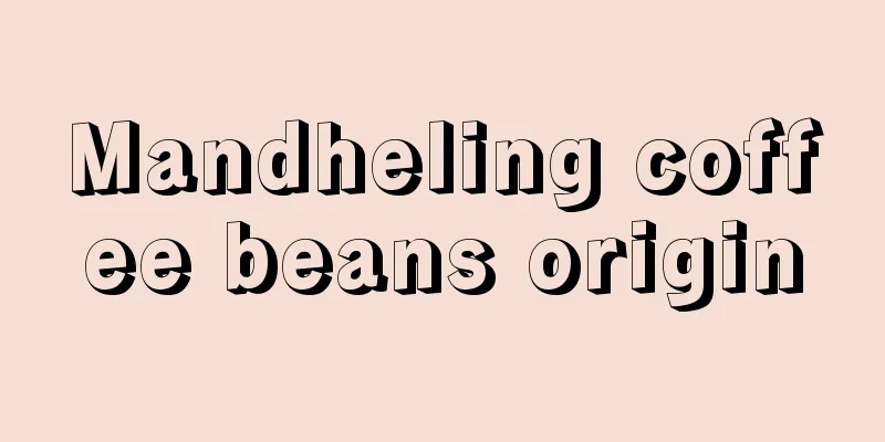 Mandheling coffee beans origin