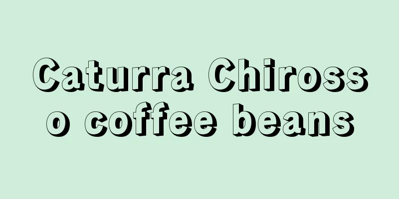 Caturra Chirosso coffee beans