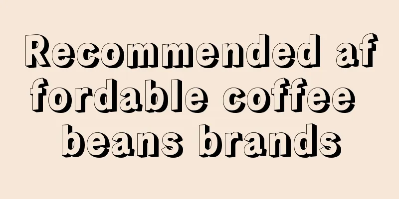 Recommended affordable coffee beans brands