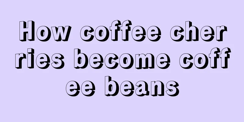 How coffee cherries become coffee beans