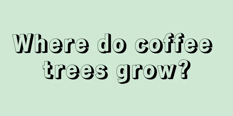 Where do coffee trees grow?