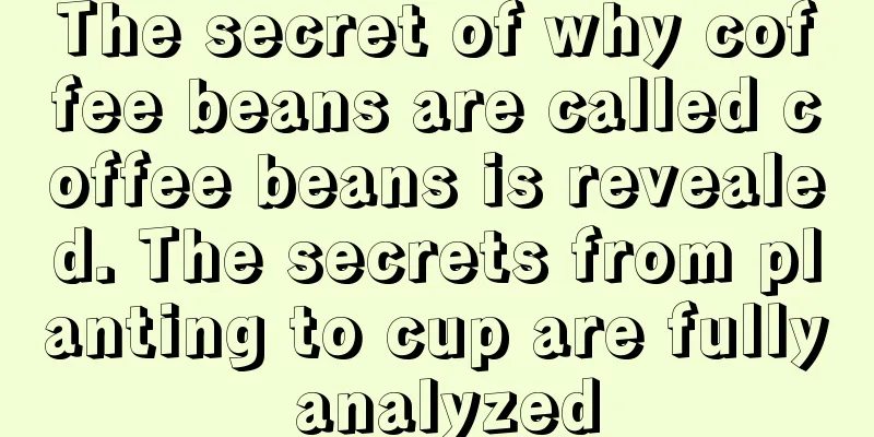 The secret of why coffee beans are called coffee beans is revealed. The secrets from planting to cup are fully analyzed