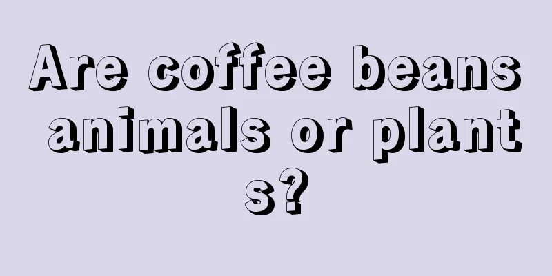 Are coffee beans animals or plants?