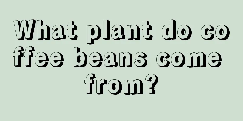 What plant do coffee beans come from?