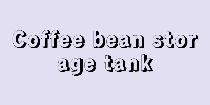 Coffee bean storage tank