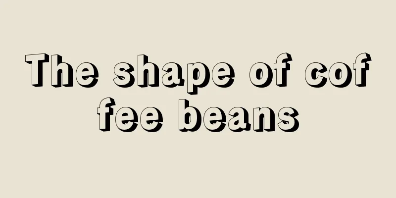 The shape of coffee beans