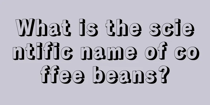 What is the scientific name of coffee beans?