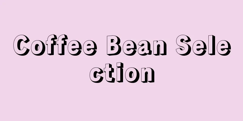 Coffee Bean Selection